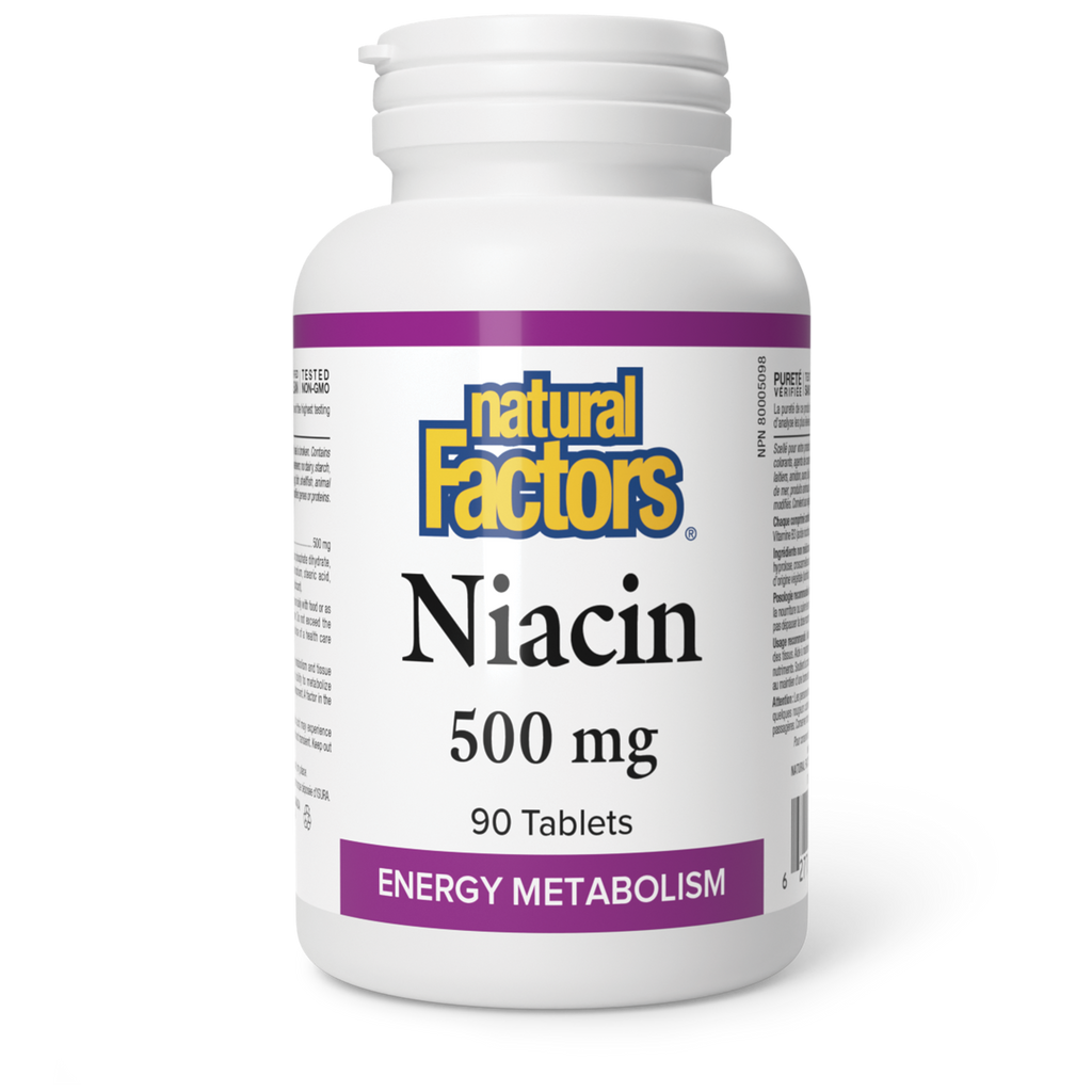 Natural Factors Vitamin B-3 500mg 90 Tablets