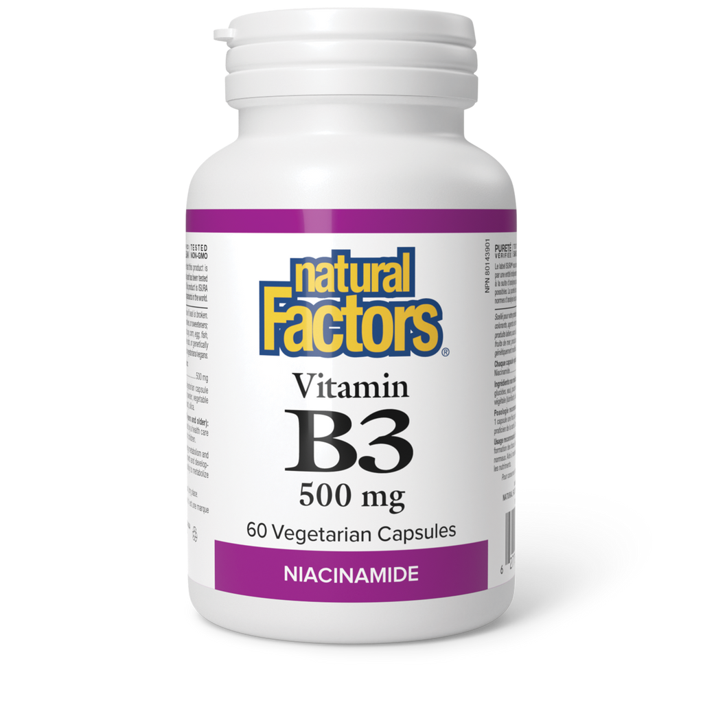 Natural Factors Vitamin B3| 500mg 60 Veg. Capsules