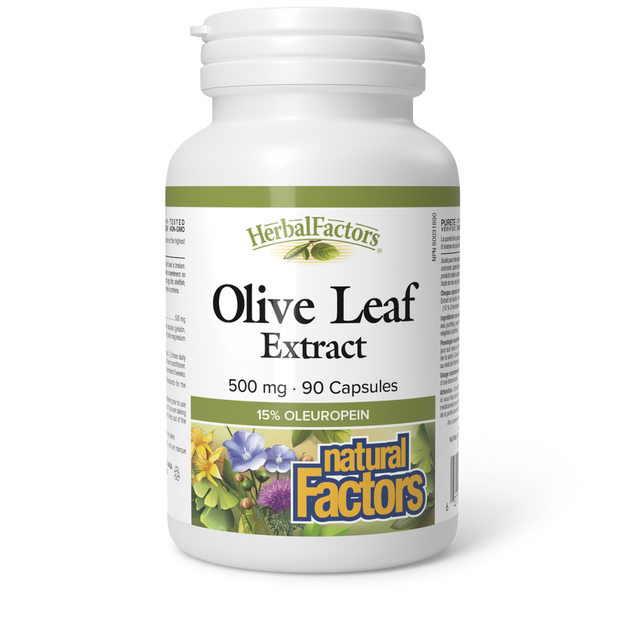 Natural Factors Olive Leaf 500 mg 90 Capsules