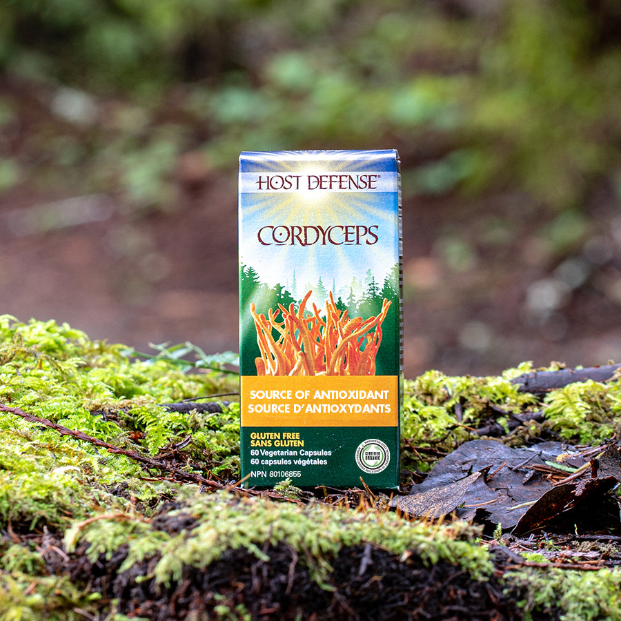 Host Defense Cordyceps 60 Veg. Capsules