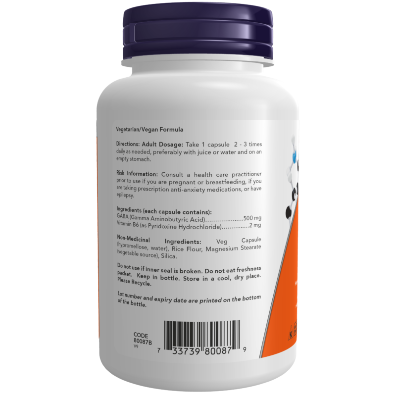 Now GABA 500 mg 200 Veg. Capsules