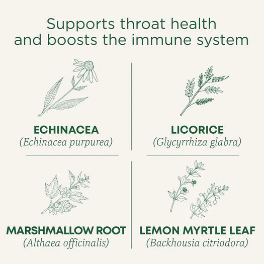 Traditional Medicinals Organic Throat Coat Lemon Echinacea Tea 16 Bags