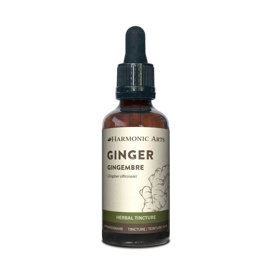 Harmonic Arts Ginger Root 100ml Tincture