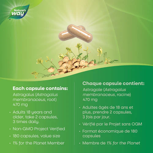 Nature's Way Astragalus Root 180 Capsules
