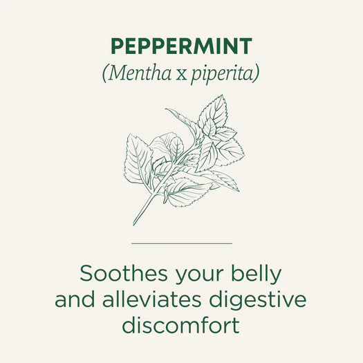 Traditional Medicinals Organic Peppermint Tea 16 Bags