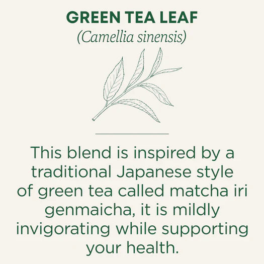 Traditional Medicinals Organic Green Tea Matcha Flavour 16 Bags