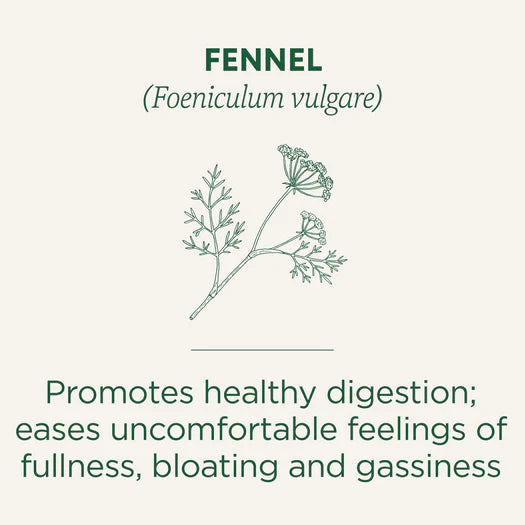 Traditional Medicinals Organic Fennel Tea 16 Bags