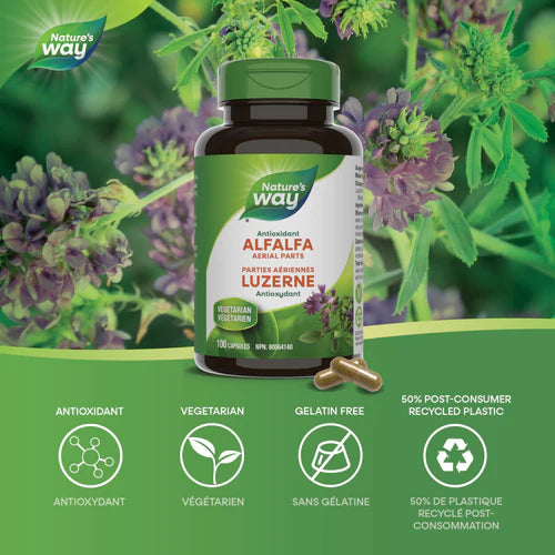 Nature's Way Alfalfa 100 Capsules