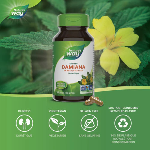 Nature's Way Damiana Leaves 100 Capsules