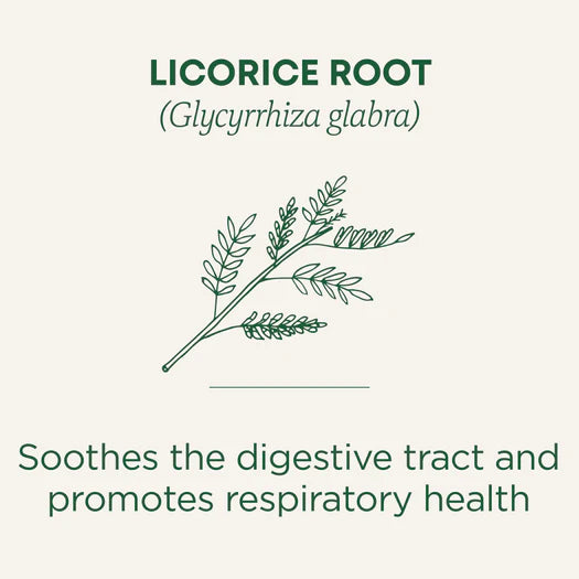 Traditional Medicinals Organic Licorice Root Tea 16 Bags