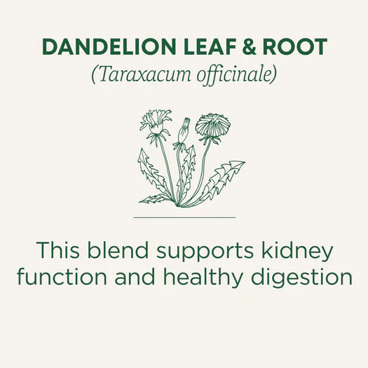 Traditional Medicinals Organic Dandelion Leaf & Root Tea 16 Bags