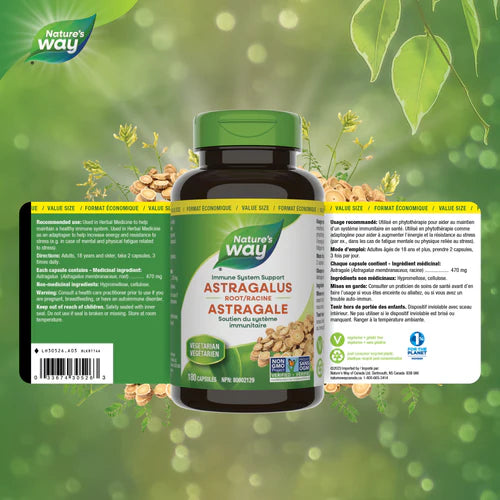 Nature's Way Astragalus Root 180 Capsules
