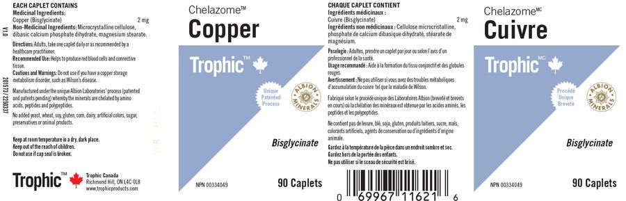 Trophic Copper Chelazome 2mg 90 Caplets