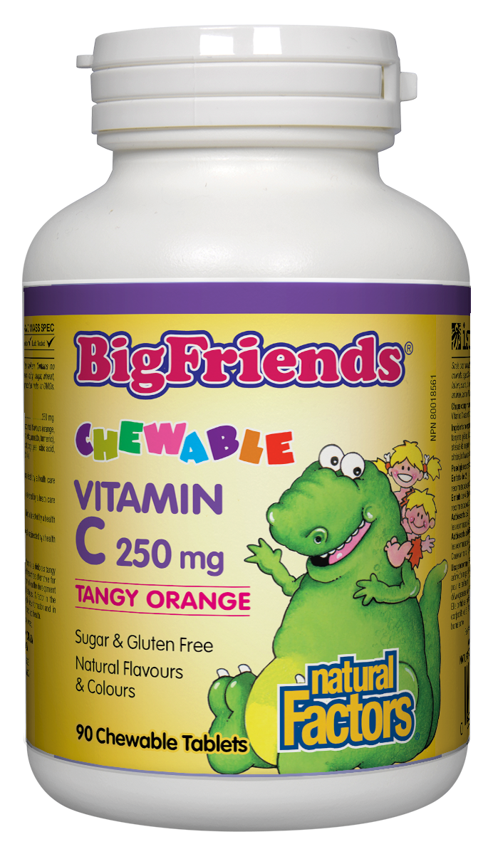 Natural Factors Big Friends Vitamin C 250 mg 90 Chewable Tablets Tangy Orange Flavour