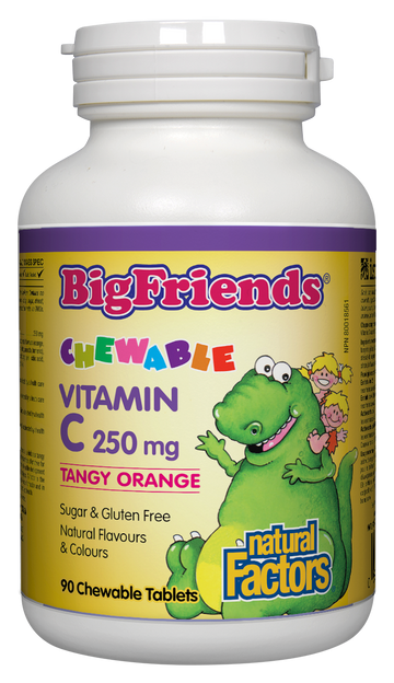 Natural Factors Big Friends Vitamin C 250 mg 90 Chewable Tablets Tangy Orange Flavour