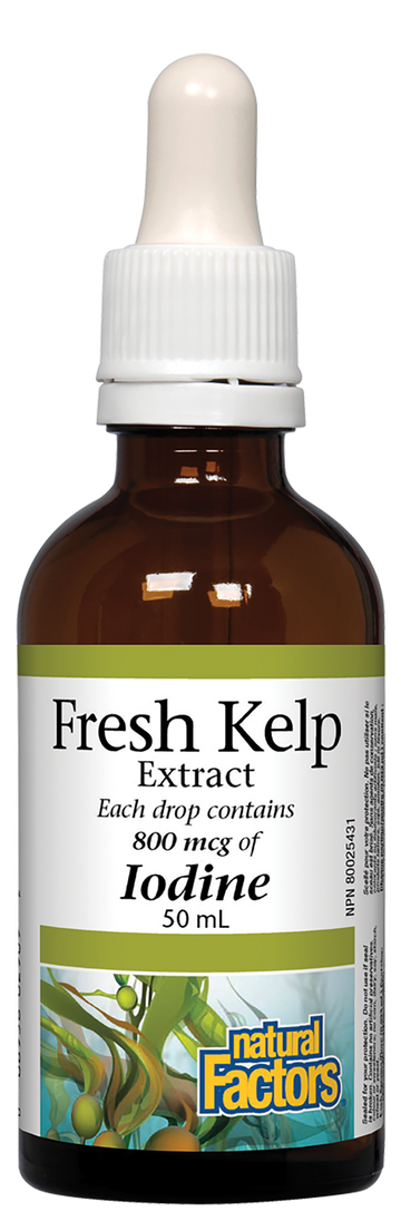 Natural Factors Fresh Kelp Extract 800 mcg 50ml Liquid