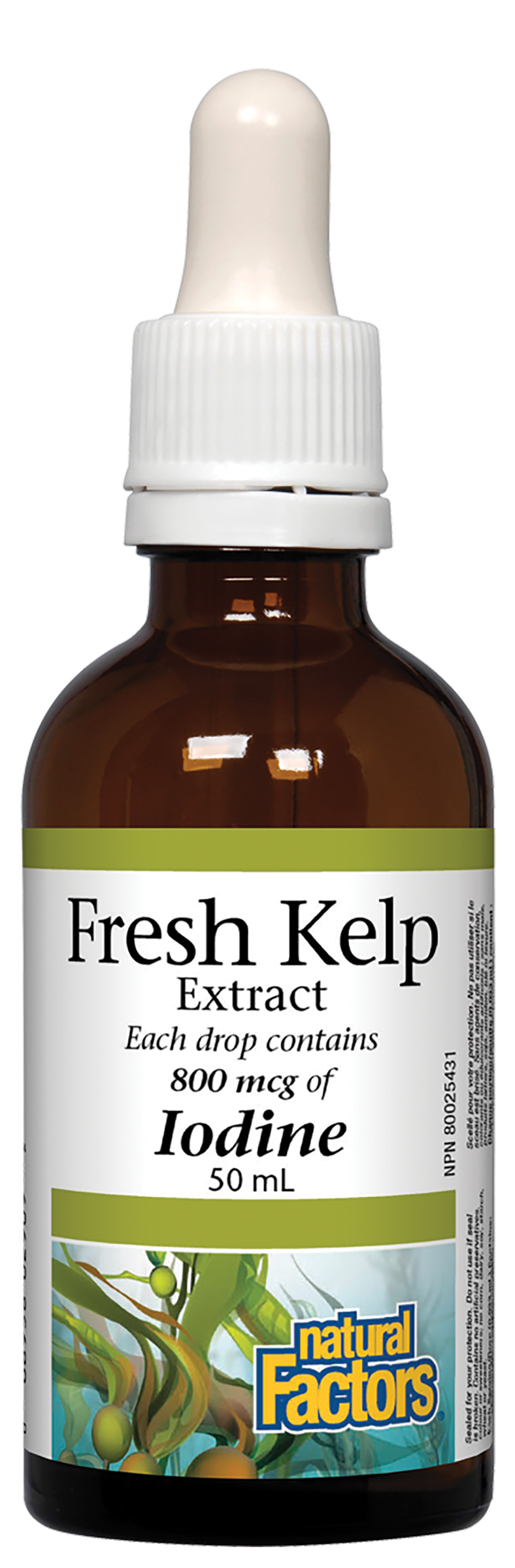 Natural Factors Fresh Kelp Extract 800 mcg 50ml Liquid