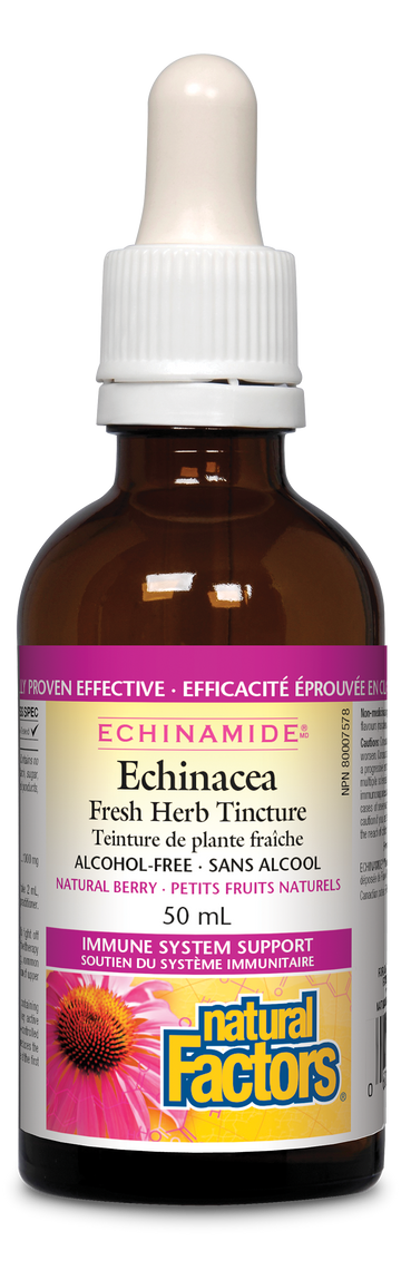 Natural Factors Echinacea Alcohol-Free Fresh Herb Tincture, ECHINAMIDE 50 ml Liquid