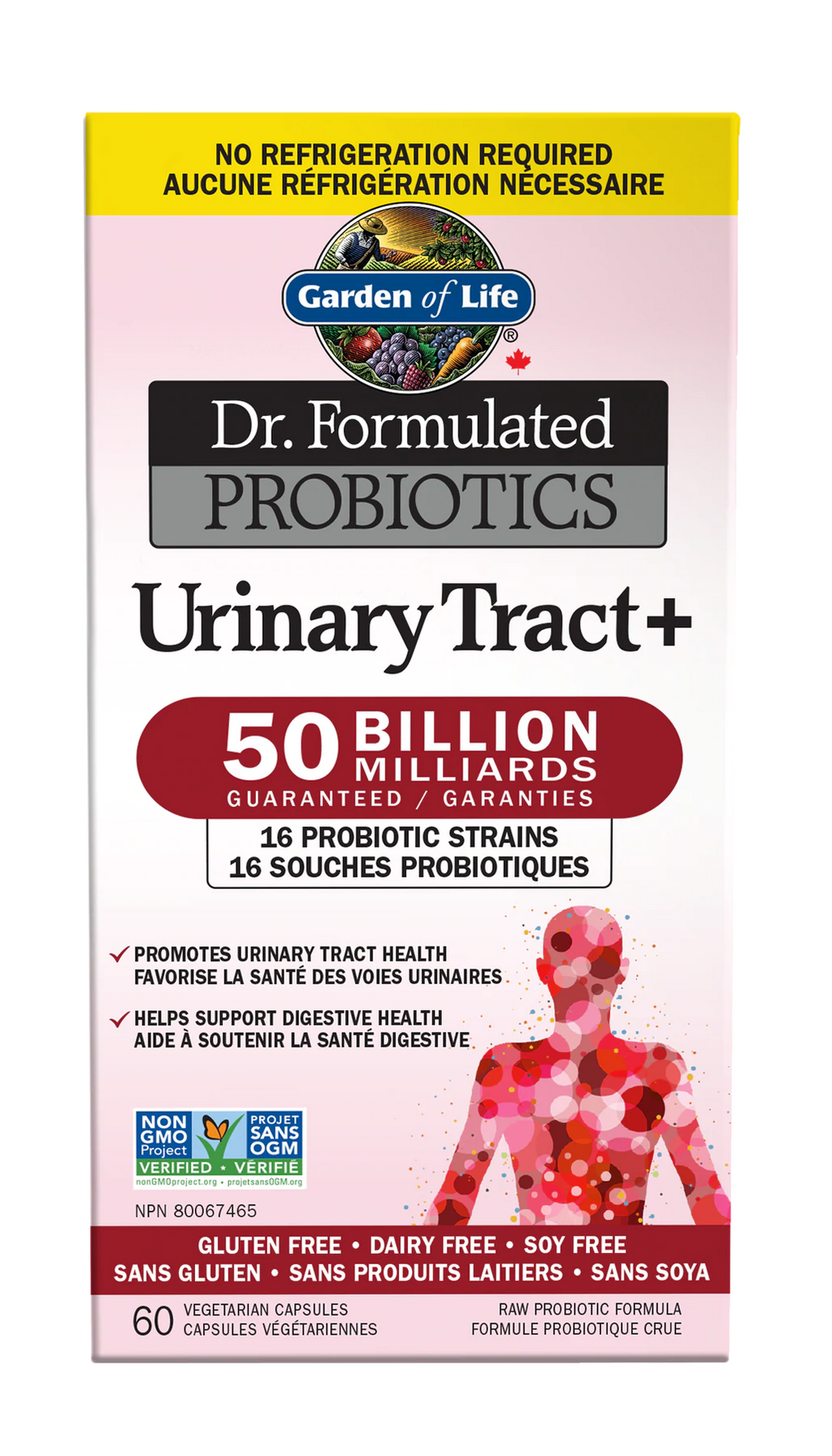 Garden Of Life - Dr. Formulated - Probiotic Urinary Tract+ 60 Veg. capsules