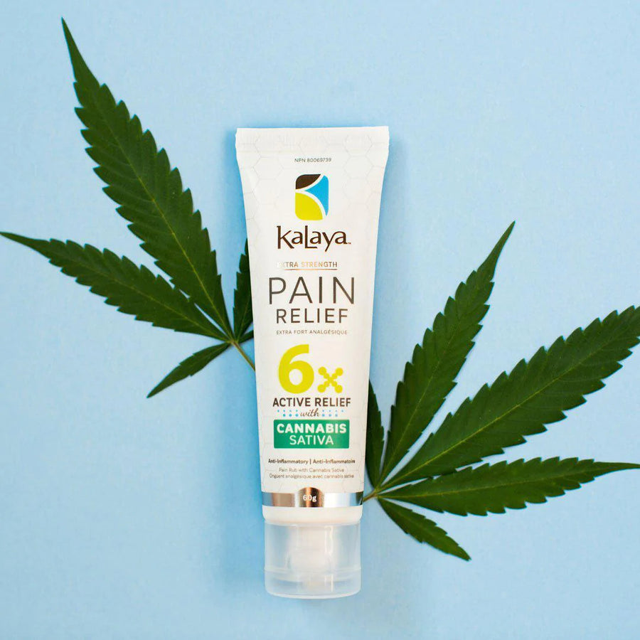 KaLaya Extra Strength Pain Relief With Cannabis Sativa Seed Oil 60g Cream