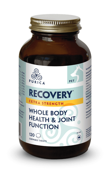 PURICA PET RECOVERY Extra Strength 120 Chewable Tablets