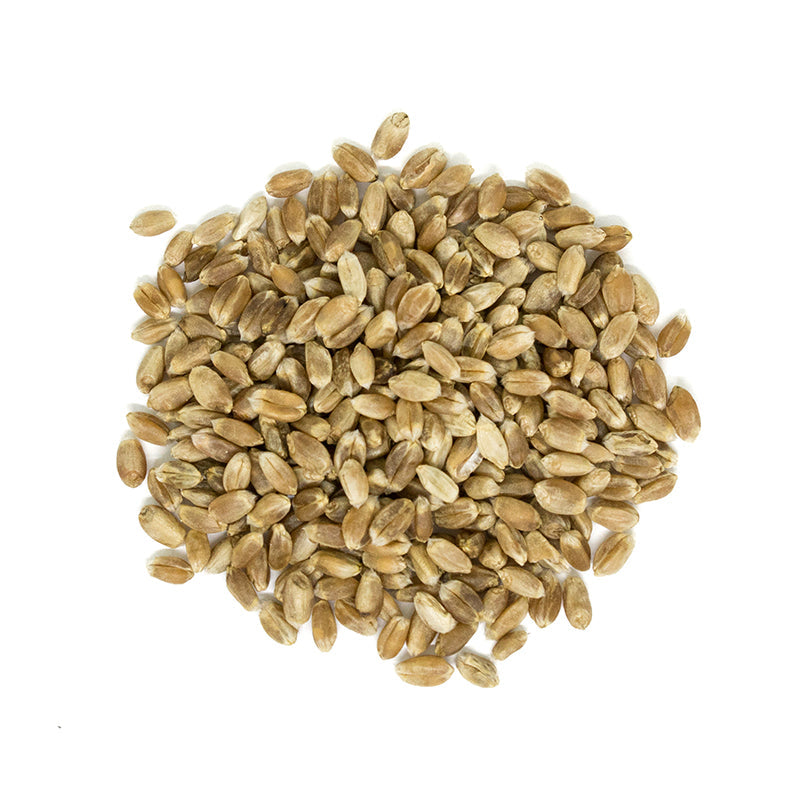 Organic Hard Wheat Kernels - 400g
