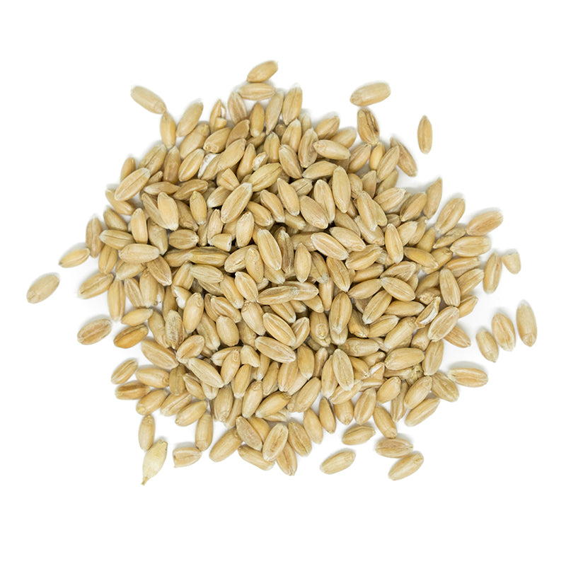 Organic Spelt Kernels - 400g