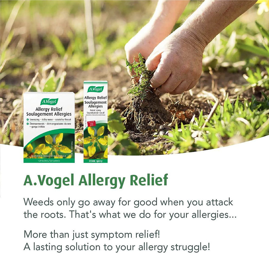 A.Vogel Allergy Relief Junior 120 Tablets