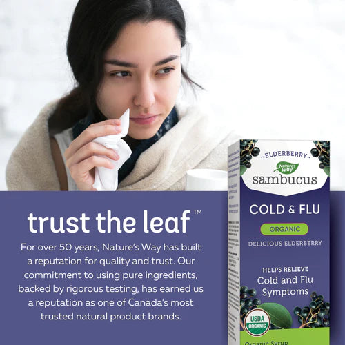 Nature's Way Organic Sambucus Cold and Flu 120ml Syrup